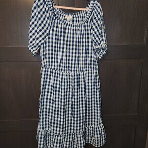 Blue and White Checked Dress